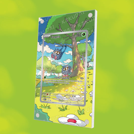 Saquedeneu 178/165 | illustration étendue