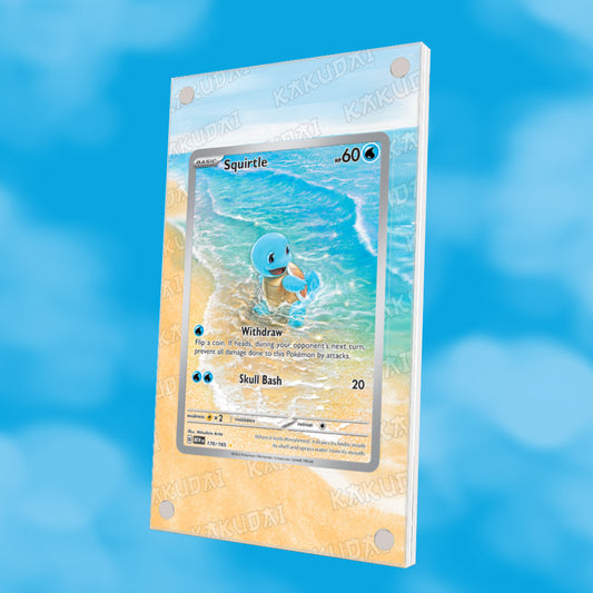 Carapuce 170/165 | illustration étendue