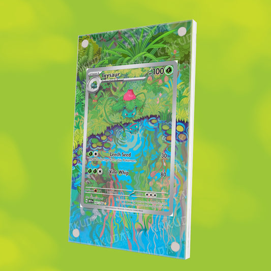 Herbizarre 167/165 | illustration étendue