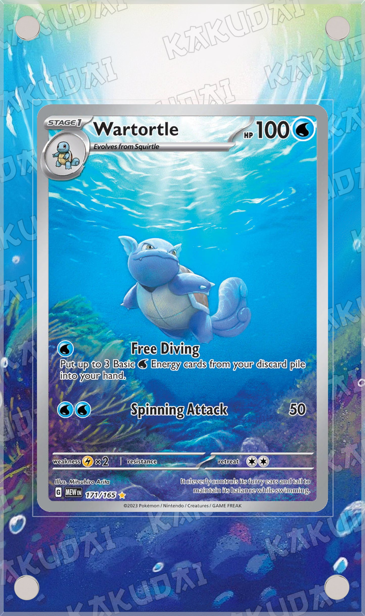 Carabaffe 171/165 | illustration étendue