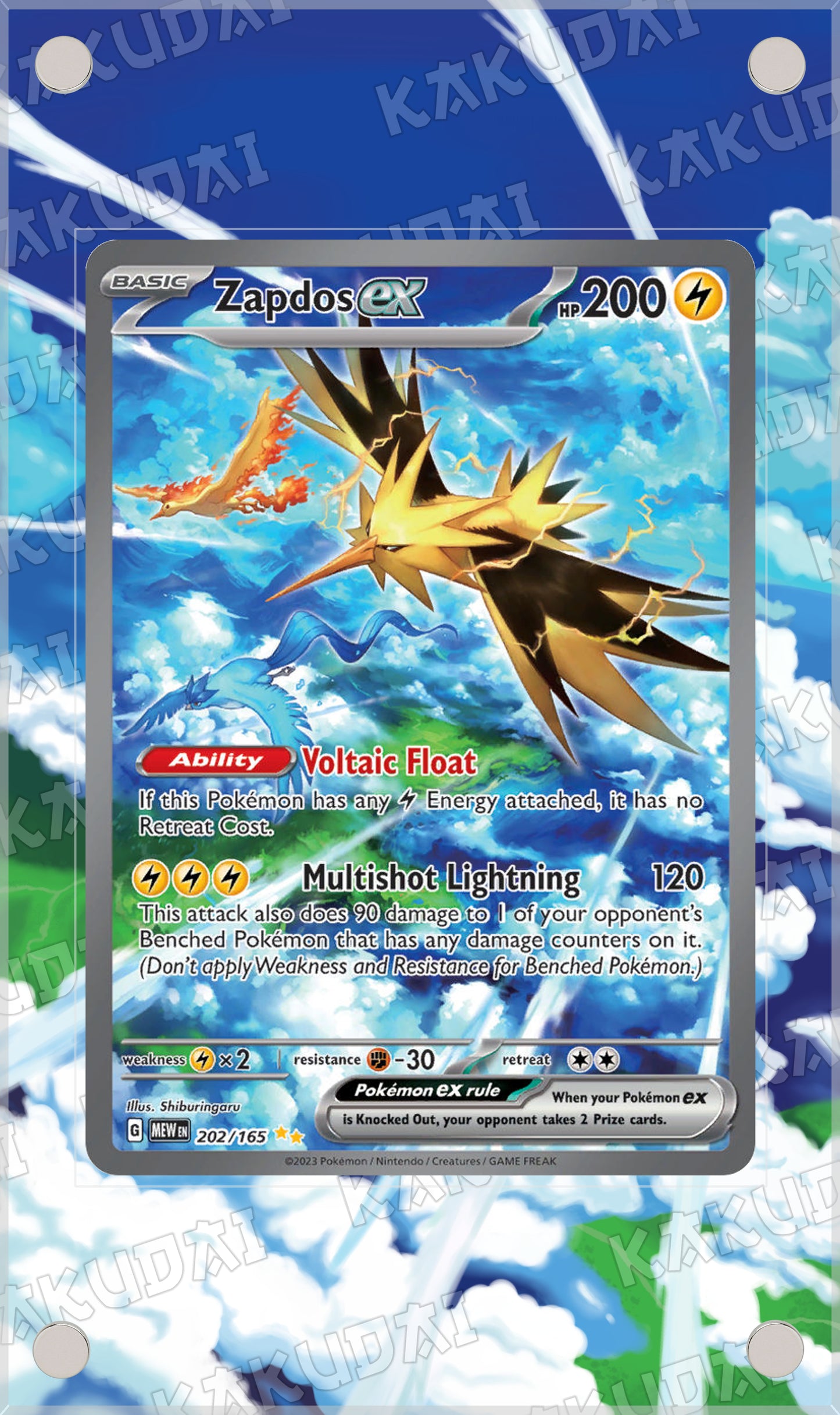 Electhor 202/165 | illustration étendue