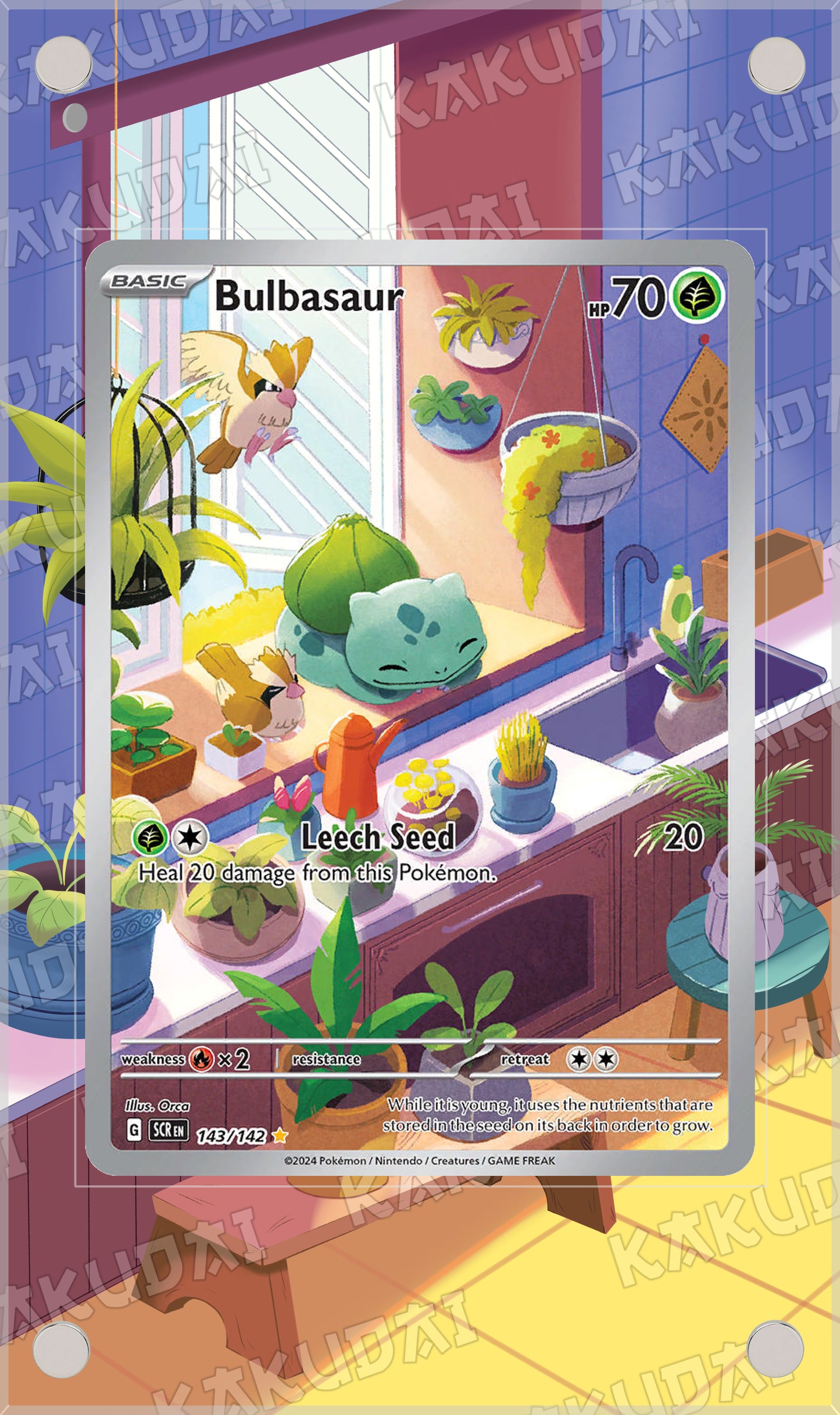 Bulbizarre 143/142 | illustration étendue