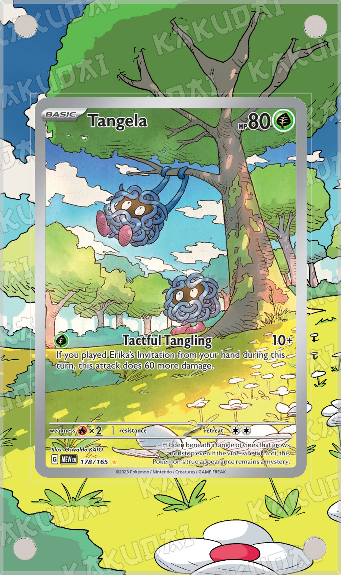 Saquedeneu 178/165 | illustration étendue