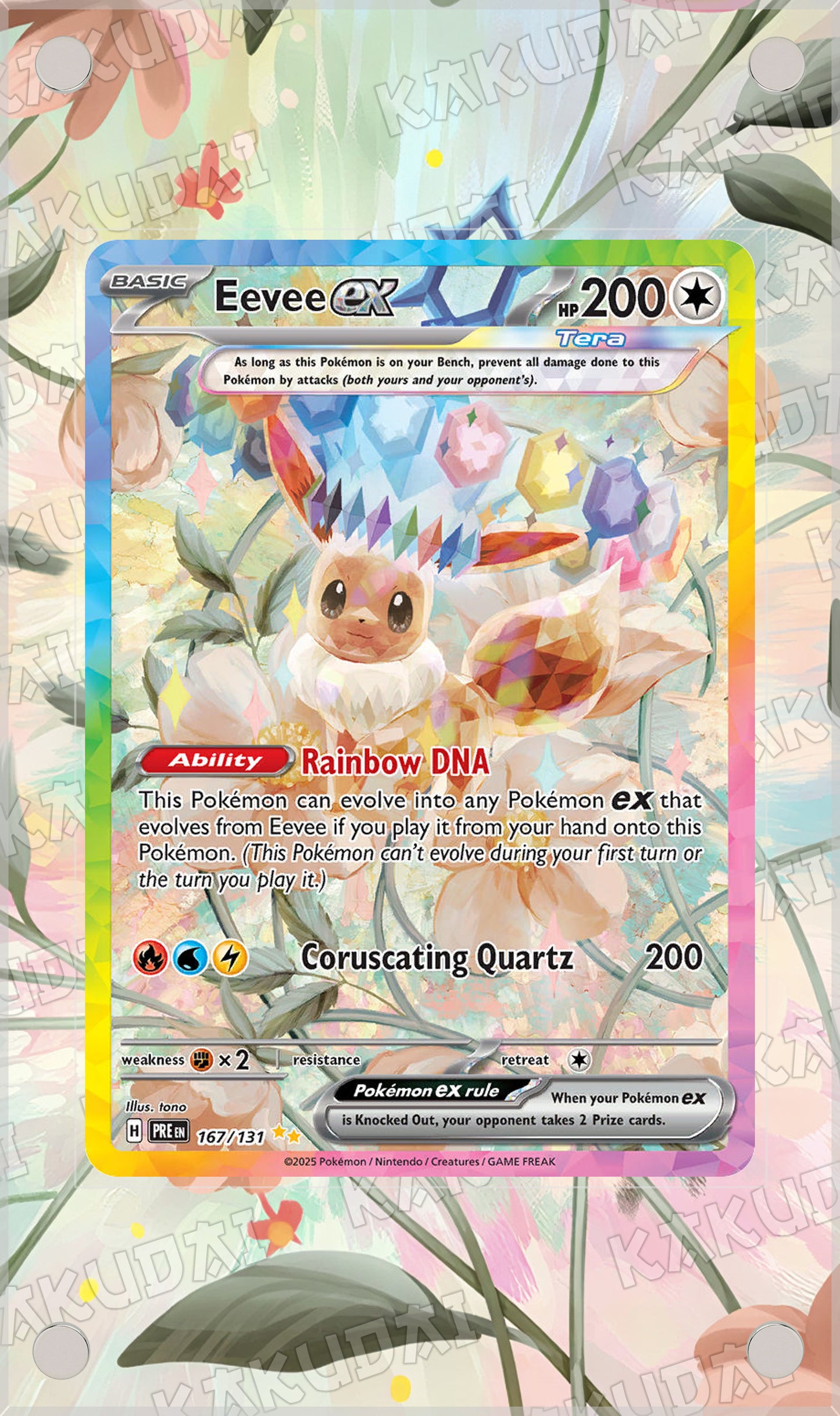 Évoli ex 167/131 | illustration étendue