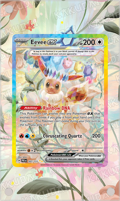 Évoli ex 167/131 | illustration étendue