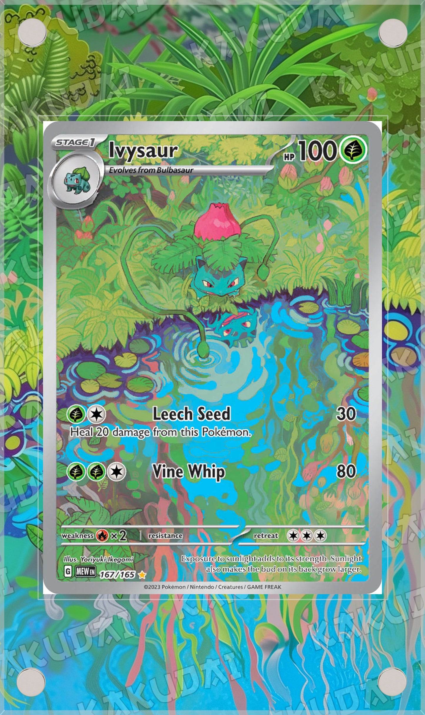 Herbizarre 167/165 | illustration étendue