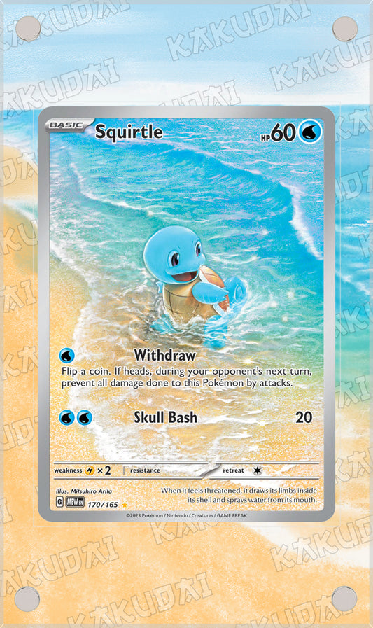 Carapuce 170/165 | illustration étendue