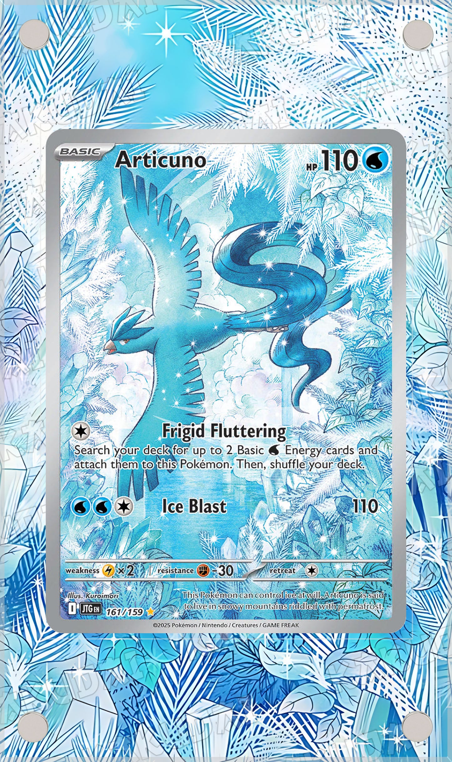 Artikodin 161/159 | illustration étendue