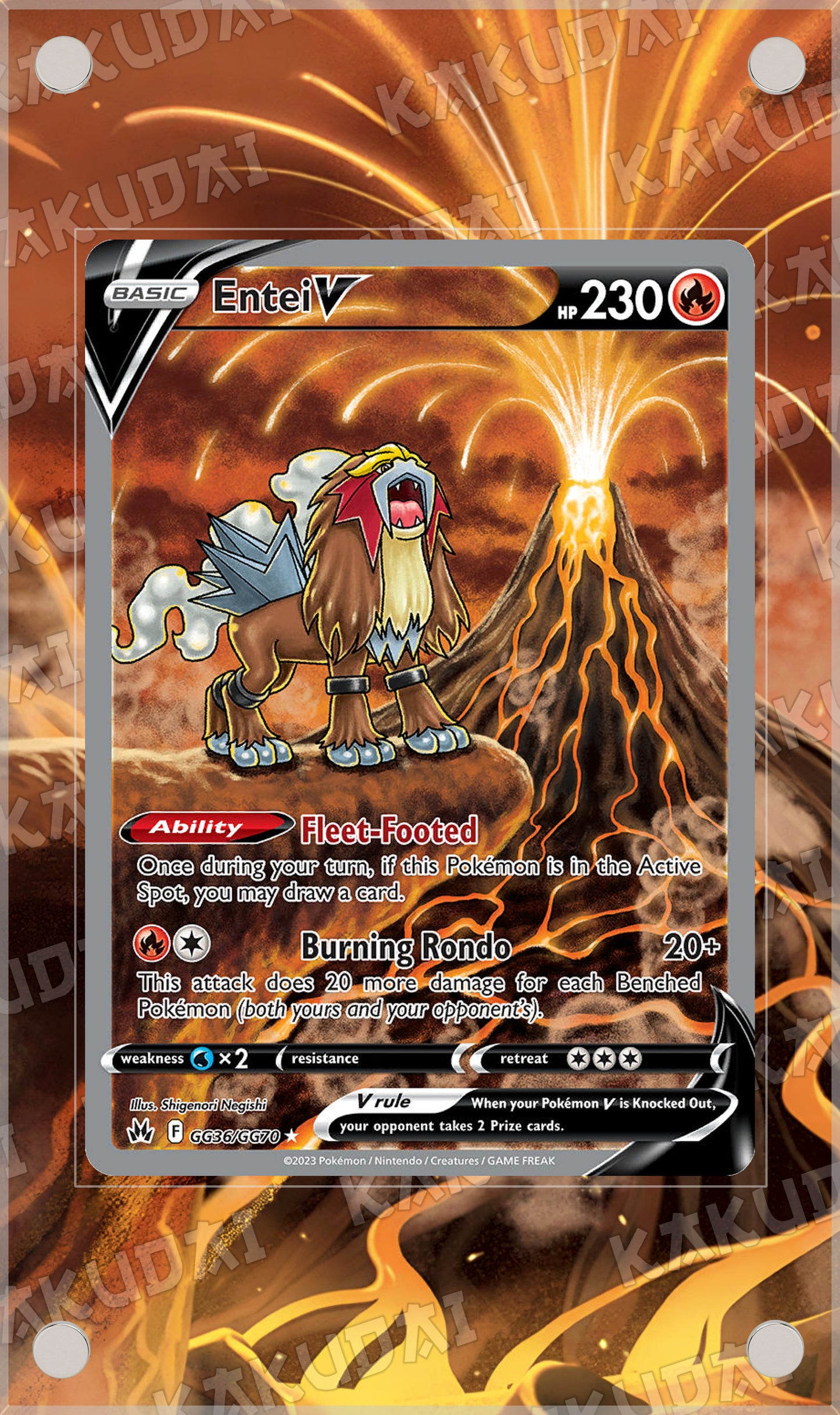 Entei-V GG36 | illustration étendue