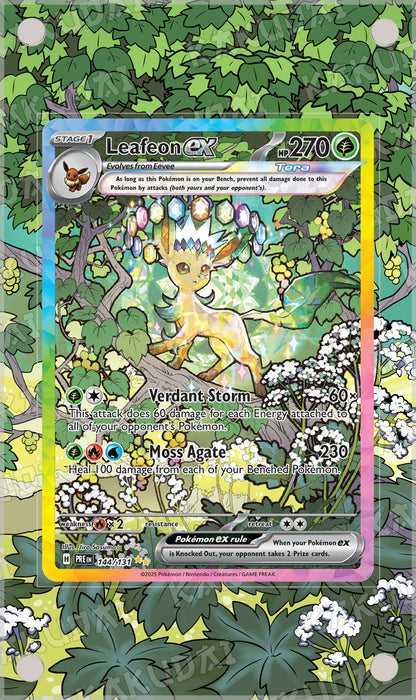 Phyllali ex 144/131 | illustration étendue