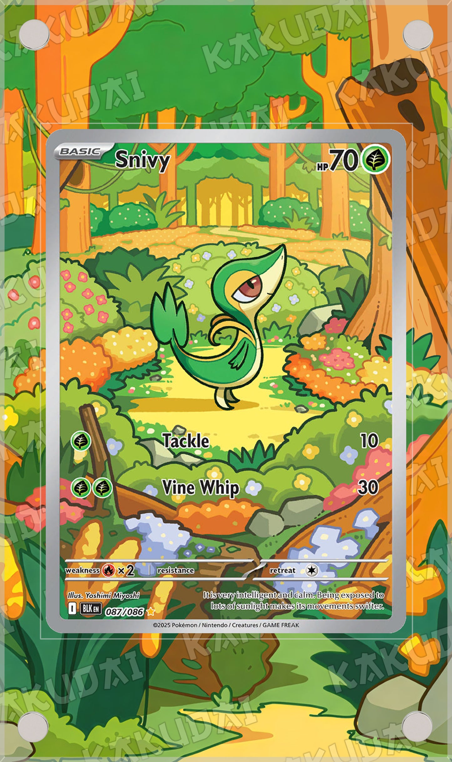 Vipélierre 87/86 | illustration étendue