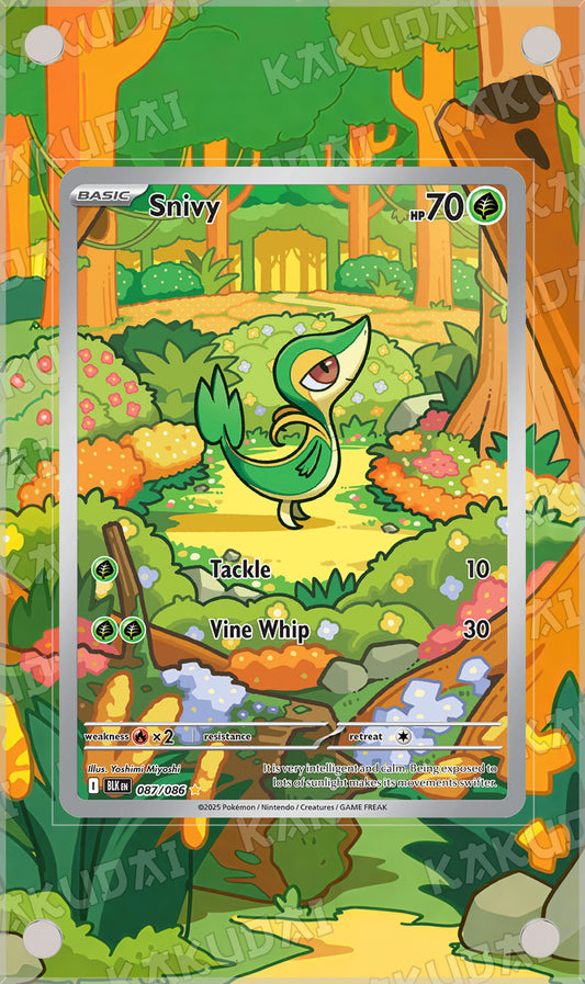 Vipélierre 87/86 | illustration étendue