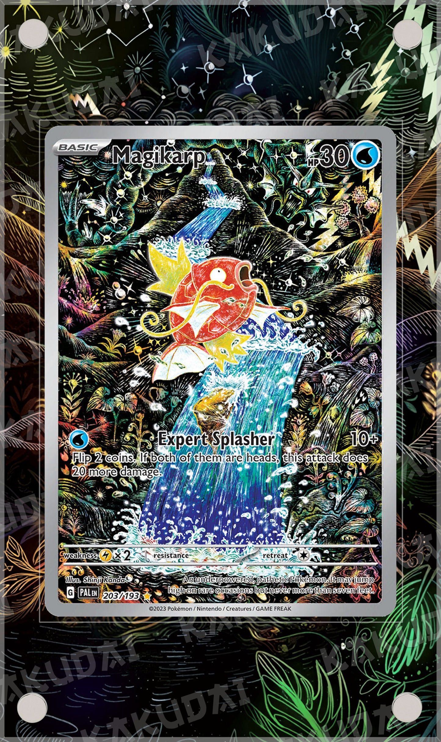 Magicarpe 203/193 | illustration étendue